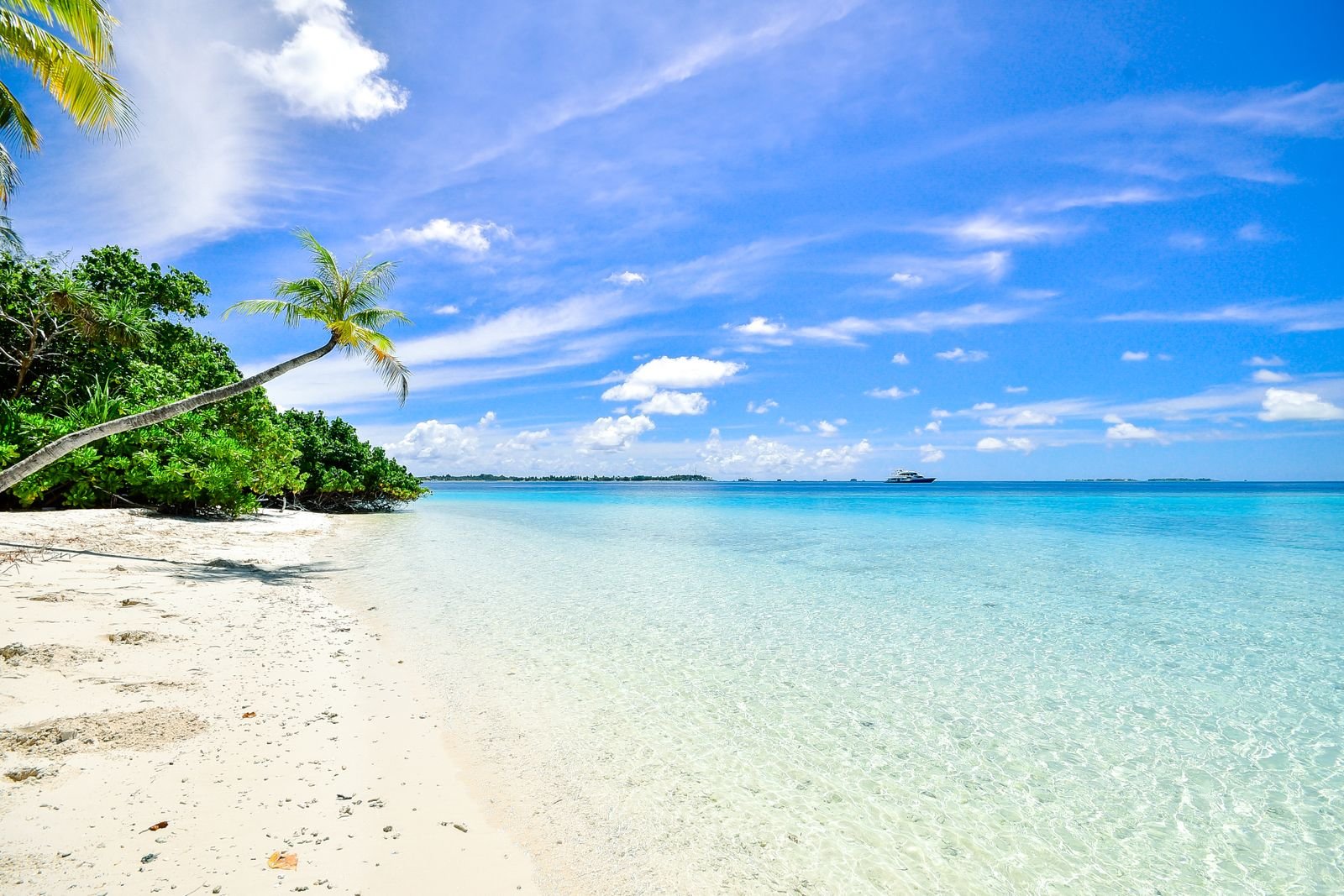 Praia isolada com vegetação exuberante